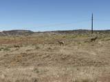 Lot 31 Red Rim Ranch - Photo 4