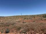 Lot 31 Red Rim Ranch - Photo 8