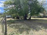 101 Balsam Street - Photo 23
