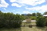 101 Balsam Street - Photo 24