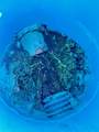  Platte - Photo 9