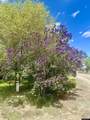 230 Hwy 14 - Photo 24