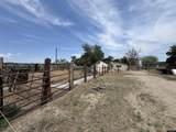 7431 Road 43 - Photo 23