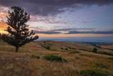 3000 Garden Creek Road - Photo 44