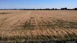 TBD Road 11 Rd - Photo 2