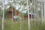 10928 County Road 271 - Photo 24