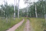 10928 County Road 271 - Photo 31