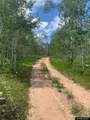 10928 County Road 271 - Photo 34