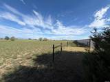 127 Antelope Gap Rd - Photo 12