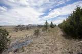 497 Hwy 26 - Photo 38