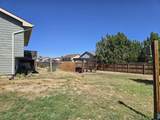 5309 Ute Circle - Photo 33