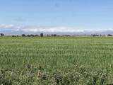  Williams Road - Photo 15