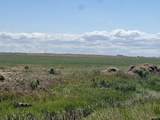  Williams Road - Photo 16