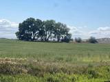  Williams Road - Photo 18