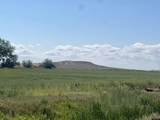  Williams Road - Photo 19