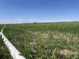  Williams Road - Photo 21