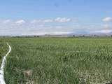  Williams Road - Photo 25