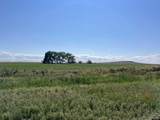  Williams Road - Photo 27