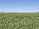  Williams Road - Photo 29