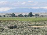  Williams Road - Photo 4
