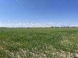  Williams Road - Photo 9