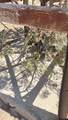 0 Whalen Canyon Rd - Photo 2