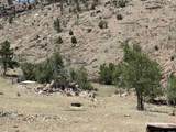 0 Whalen Canyon Rd - Photo 5