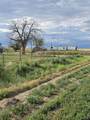 5852 Road 49 Road - Photo 12