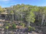  North Of Slate Creek - Photo 5
