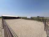 789 Eight Mile Road - Photo 48