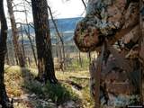  S. Crimson Dawn (40 Acres Rm) - Photo 4