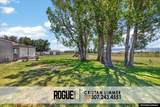 6715 Zero Road - Photo 49