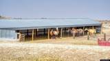 356 Jack Smith Rd - Photo 11
