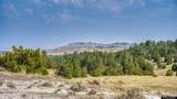 356 Jack Smith Rd - Photo 15