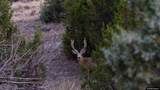 356 Jack Smith Rd - Photo 50