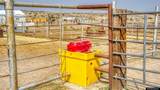 356 Jack Smith Rd - Photo 6
