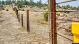 356 Jack Smith Rd - Photo 9