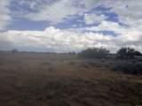 1150 Chamberlain Road - Photo 8