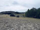 458 Dinosaur Drive - Photo 44