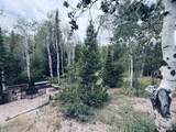 458 Dinosaur Drive - Photo 49