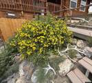 458 Dinosaur Drive - Photo 50