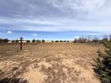 14 Beaver Rd - Photo 40