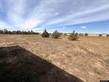14 Beaver Rd - Photo 41