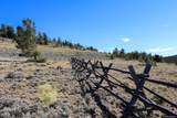 0000 Dunbar Lane - Photo 16