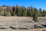 0000 Dunbar Lane - Photo 29