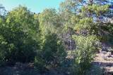 0000 Dunbar Lane - Photo 41