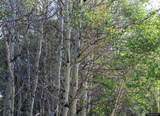 0000 Dunbar Lane - Photo 43