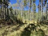Lot 8 Lemmers - Photo 2