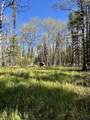 Lot 8 Lemmers - Photo 5