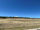 25730 Little Dog Road - Photo 6